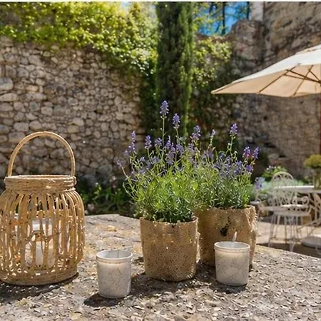 Parenthese Provencale Avec Cour Charme Et Pierre Σπίτι διακοπών
