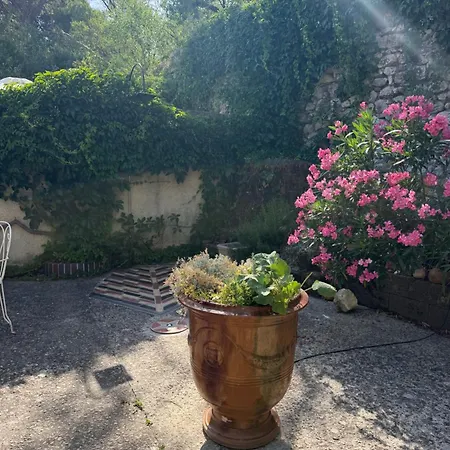 Parenthèse Provençale Avec Cour Charme Et Pierre
